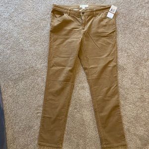 NWT Michael Kors Corduroys Tan Camel Pants Women’s Stretch Straight Fall Neutral